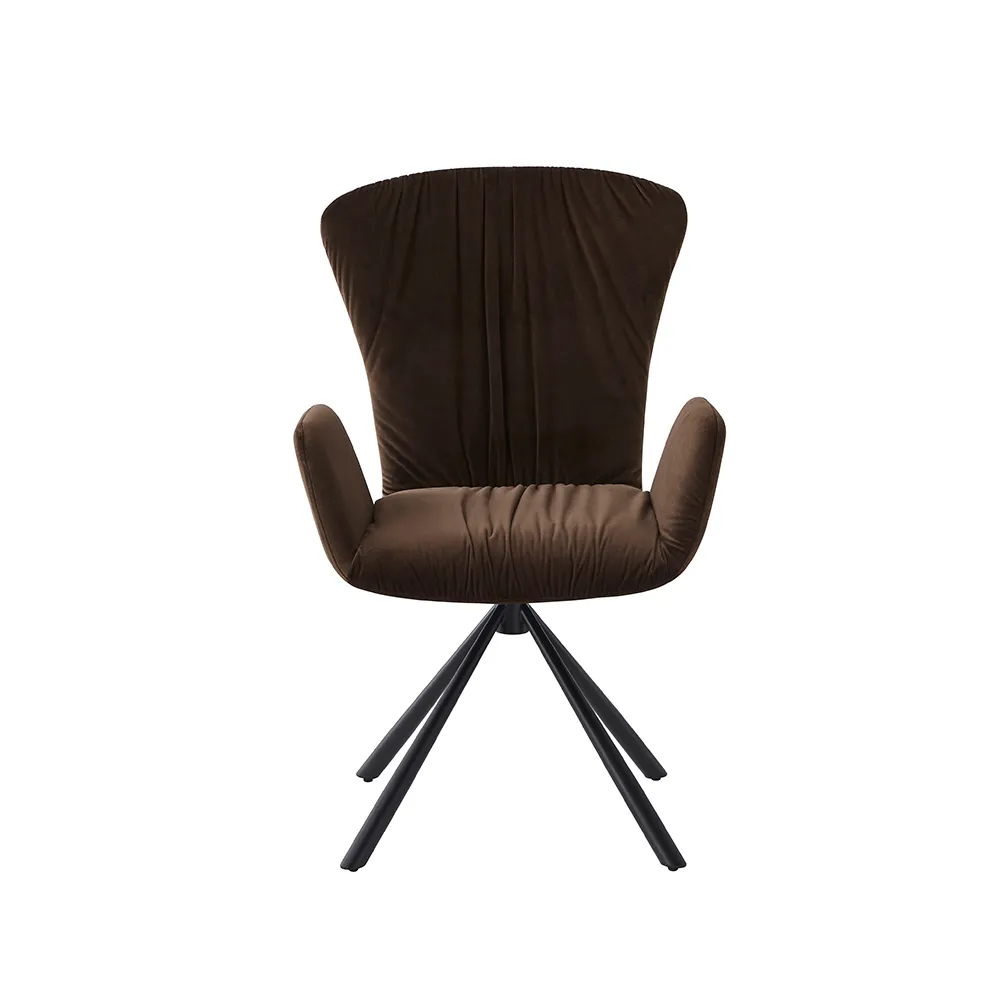 Modern Frame Double Dining Chair